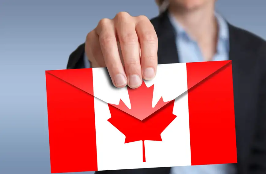 Ams Immigration Inc Ams Immigration Inc