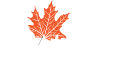 Ams Immigration Inc